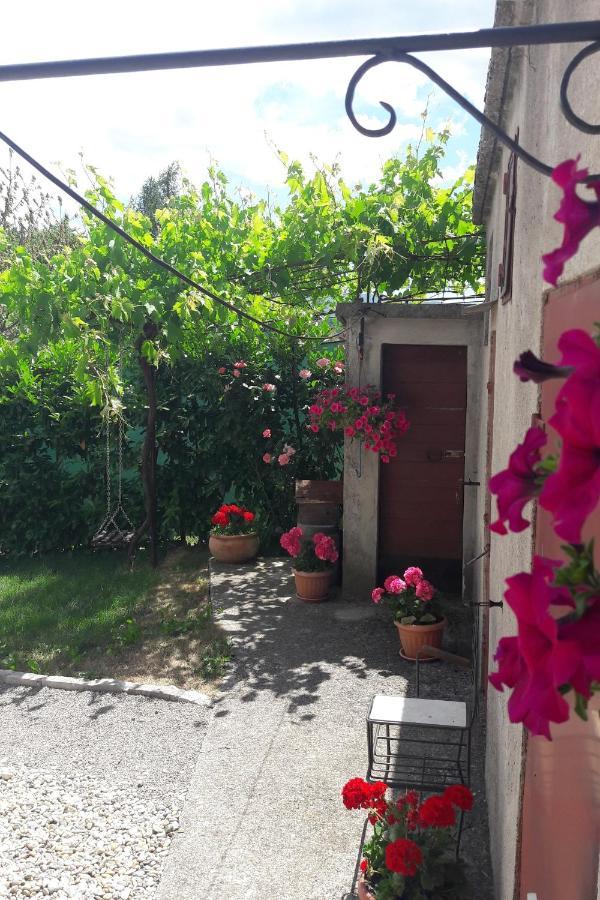 Holiday Home Ivana Pasjak Dış mekan fotoğraf
