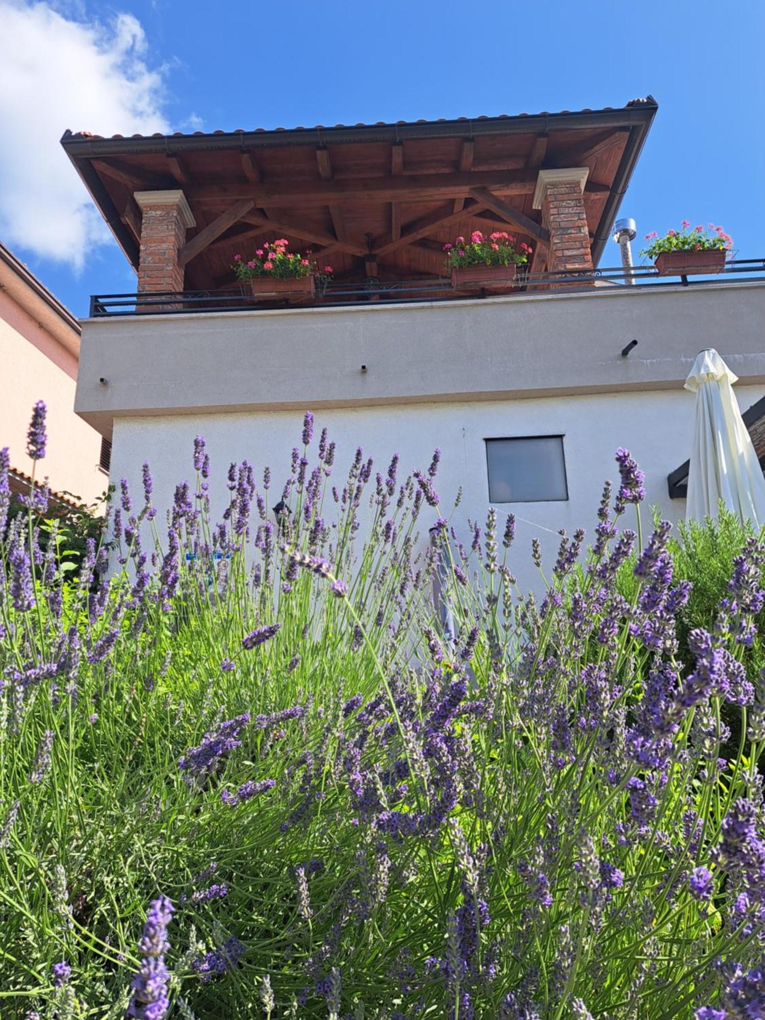 Holiday Home Ivana Pasjak Dış mekan fotoğraf