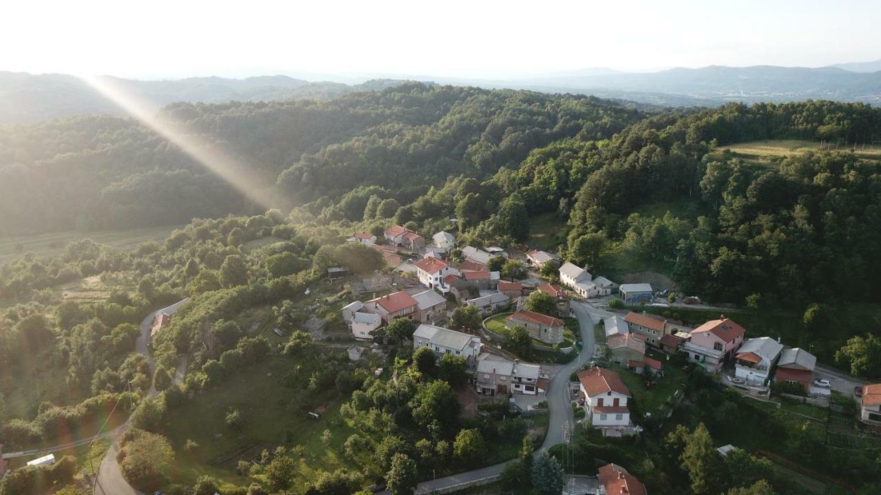 Holiday Home Ivana Pasjak Dış mekan fotoğraf